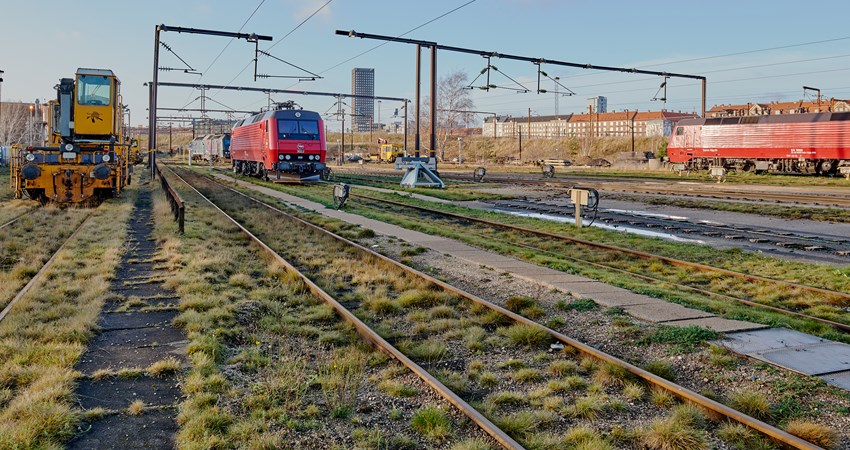 Vester Remisepark 2017       2017.12.08 - FB0_0667 - (P2017.12.16.CO11).jpg