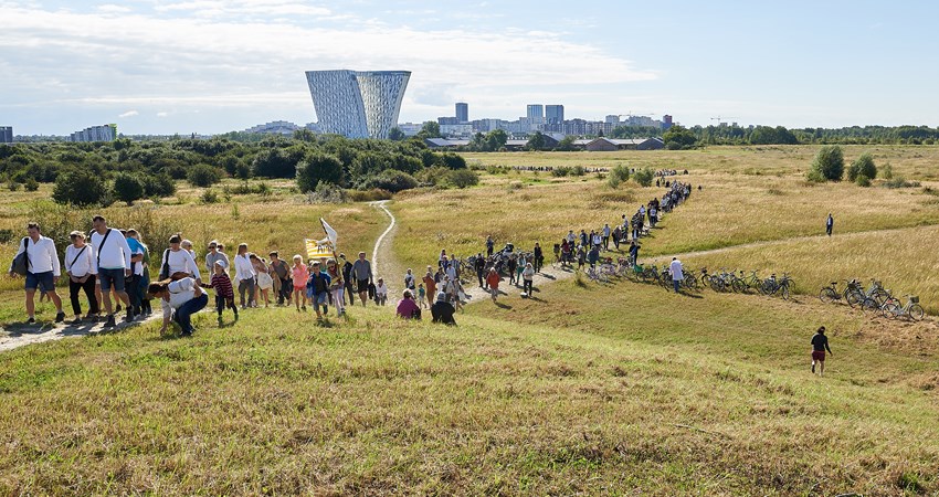 Amager Fælled 19.8.2016          _HA26065 - (P2016.09 CO9).jpg