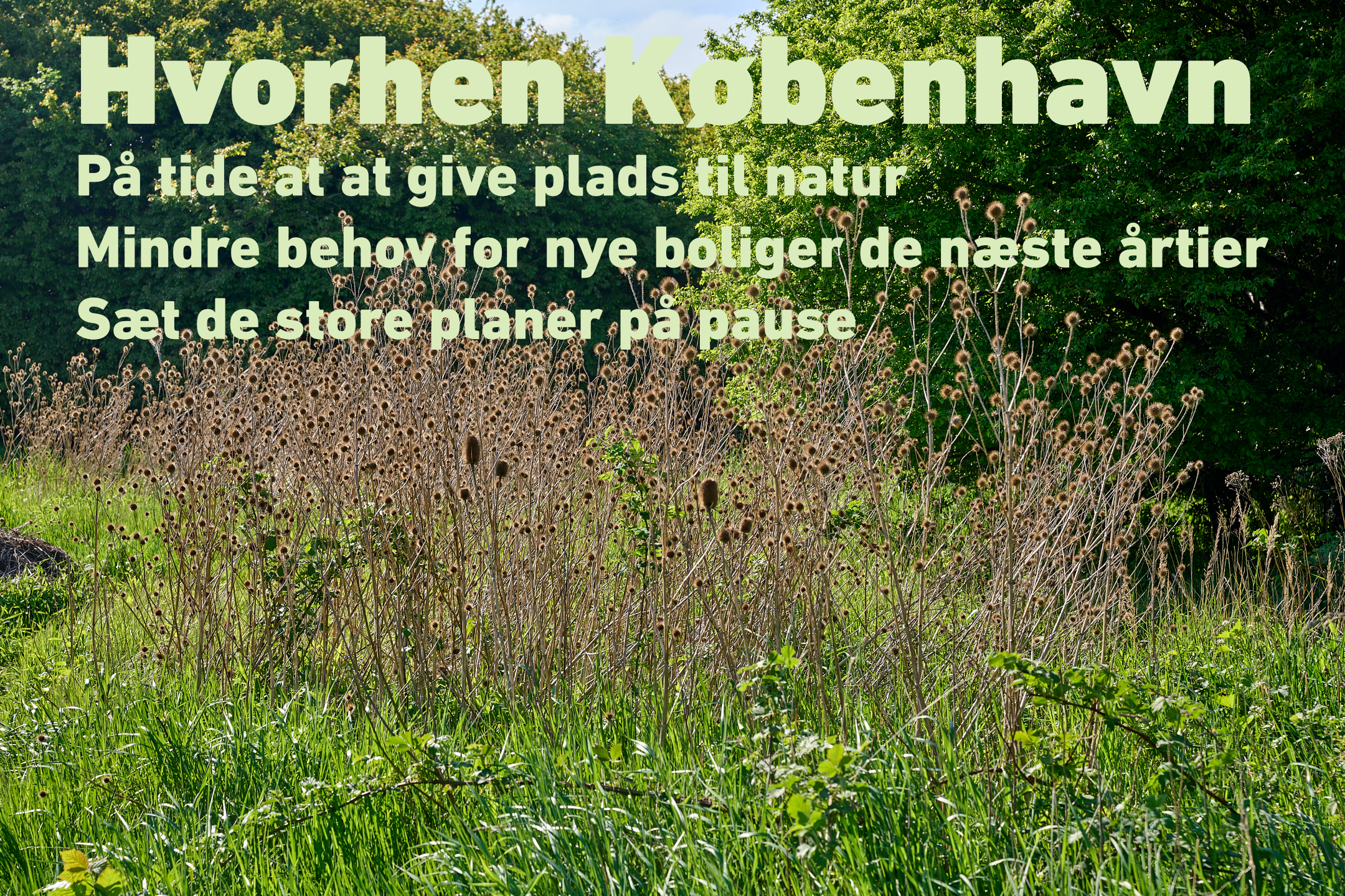 HVORHEN KØBENHAVN