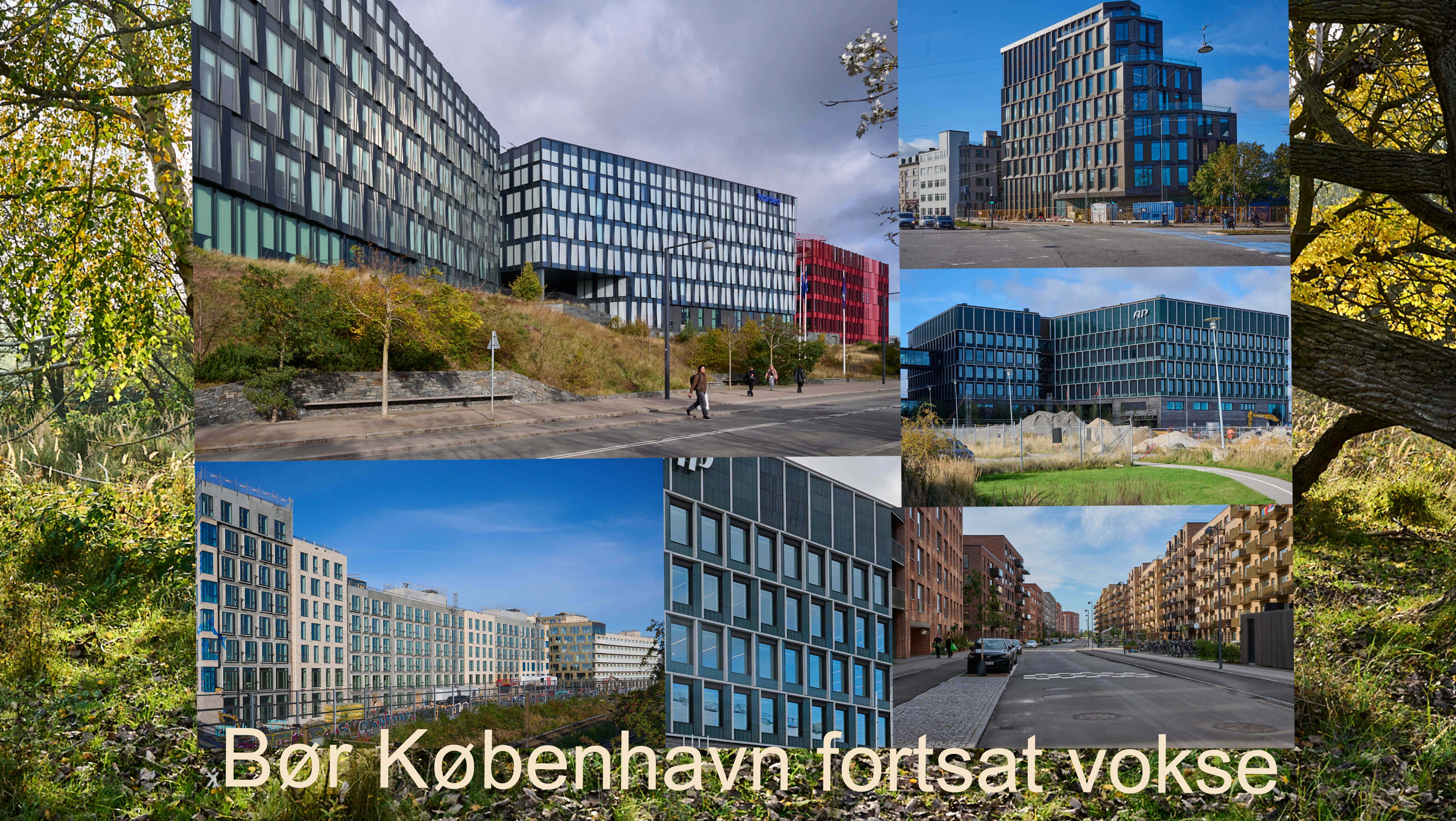 København er vokset, men er kommet i ubalance  – bør København fortsat vokse?