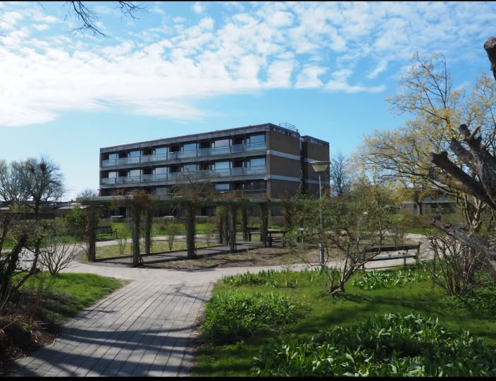 Høringssvar til ”Forslag til lokalplan og miljørapport” for Bystævneparken