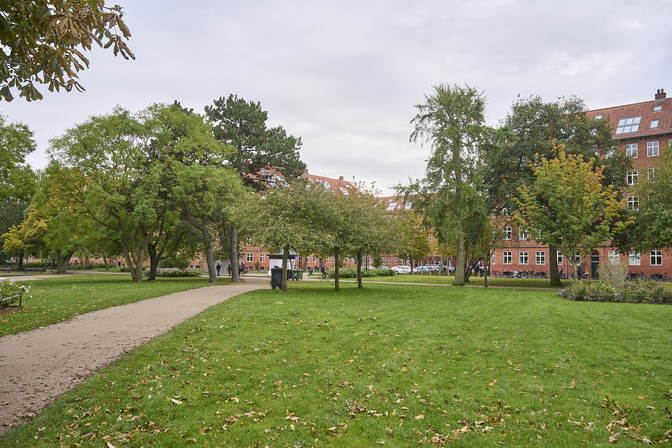 Ikke fælde gamle træer i Hans Tavsens Park